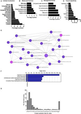 Characterization of the Primary Human Trophoblast Cell Secretome Using Stable Isotope Labeling With Amino Acids in Cell Culture